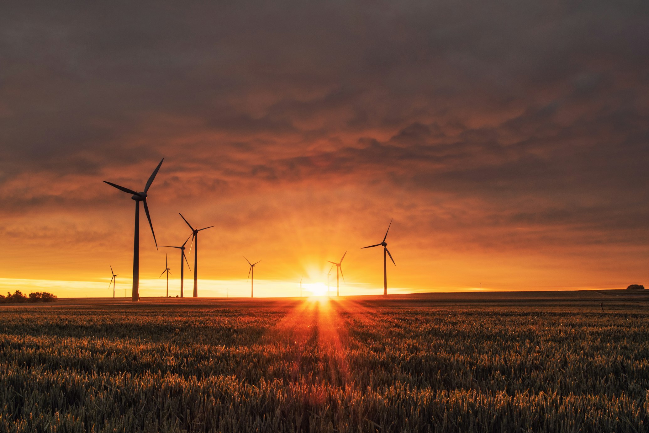 Utility-scale solar farm with wind turbines
